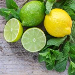PERFUME APPRENTICE - Lemon Lime