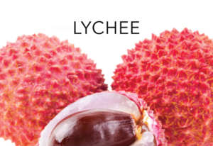PERFUME APPRENTICE - Lychee