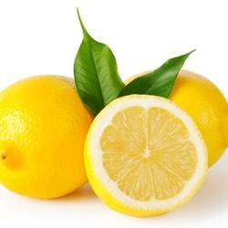 PERFUME APPRENTICE - Lemon