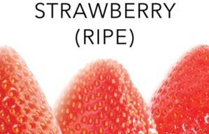 PERFUME APPRENTICE - Strawberry Ripe