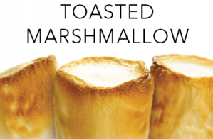 PERFUME APPRENTICE - TOASTED MARSHMALLOW