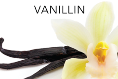 PERFUME APPRENTICE - VANILLIN