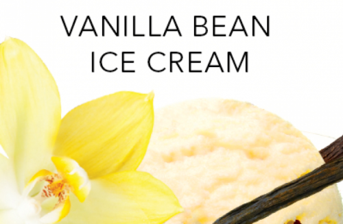 PERFUME APPRENTICE - VANILLA BEAN ICE CREAM