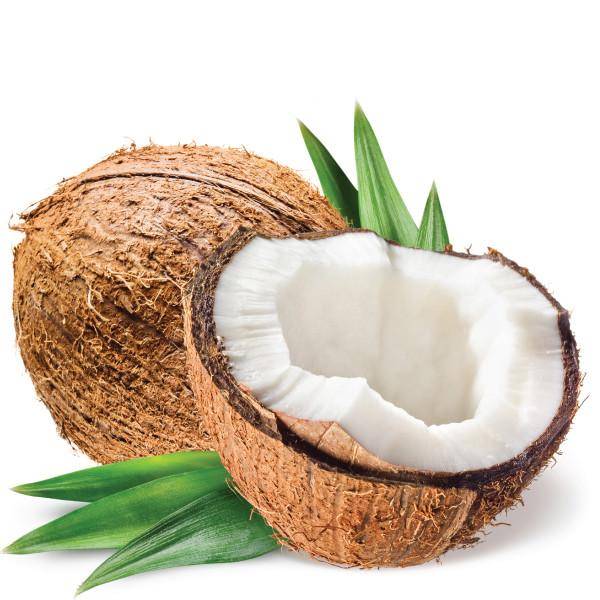 CAPELLA  FLAVORS   - COCONUT