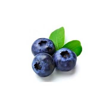 CAPELLA  FLAVORS   - BLUEBERRY