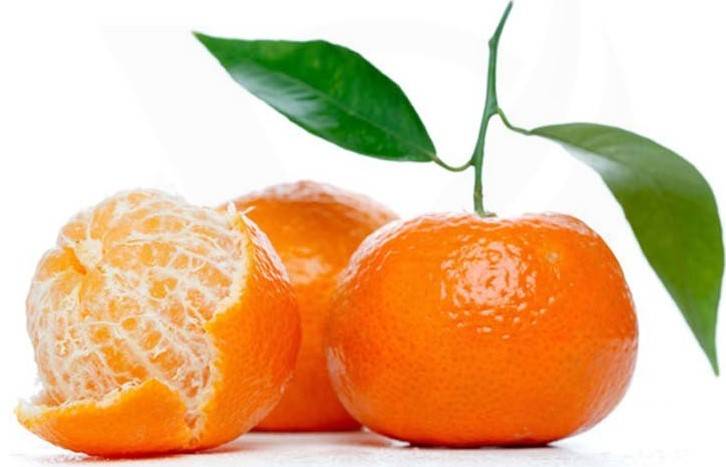 CAPELLA FLAVORS - SWEET TANGERINE